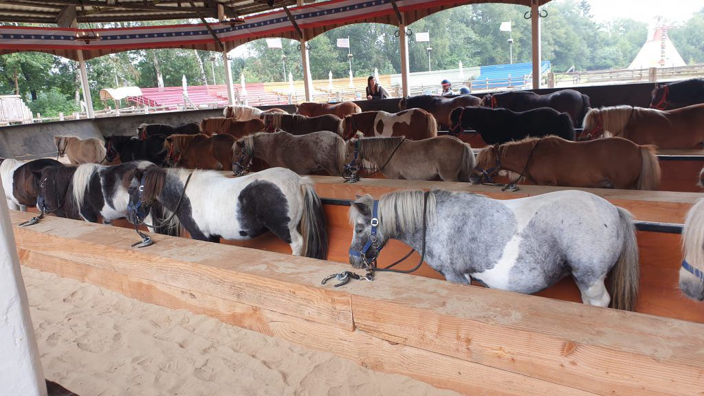 pony's paarden boerderij