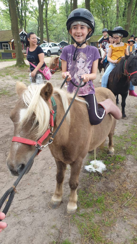 ponyparkcity slagharen pony rijden