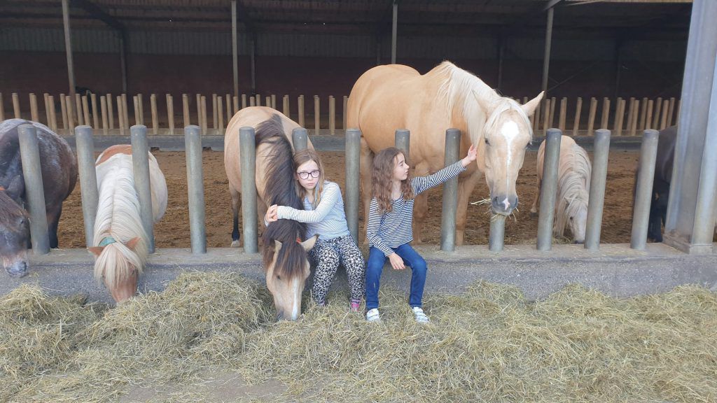 meisjes met paarden