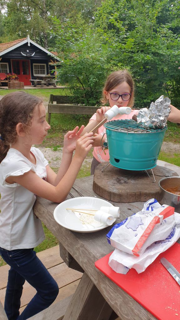 marshmallows roosteren boven een haardvuur