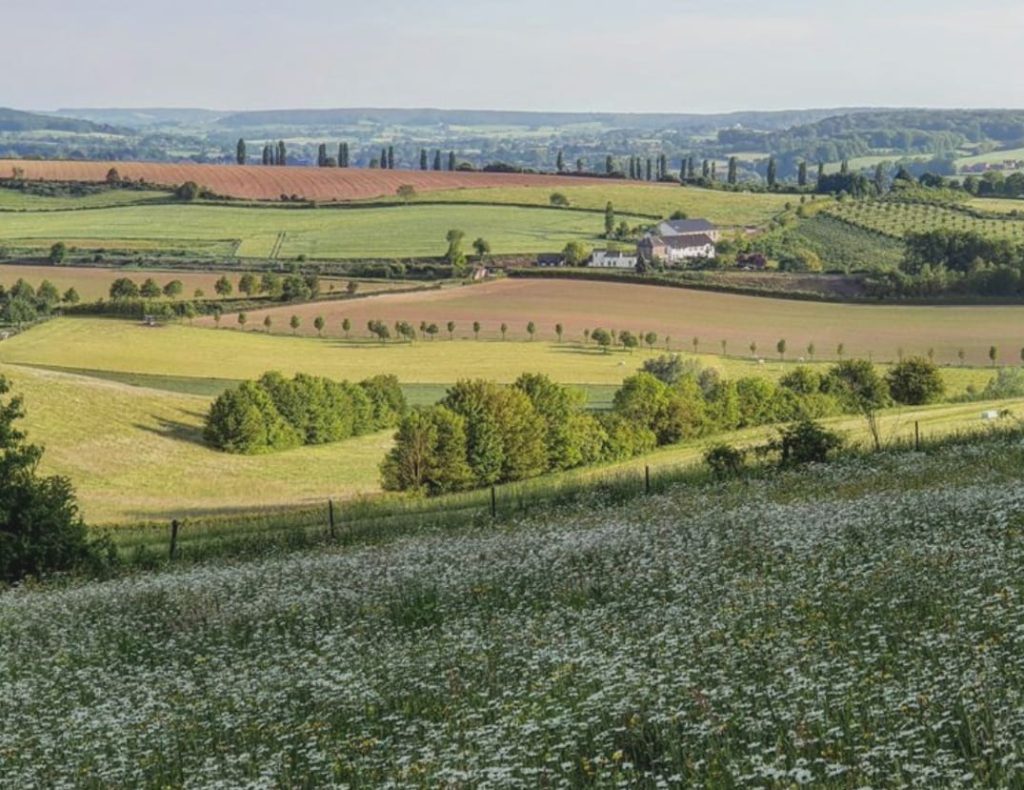 zuid limburg landschap