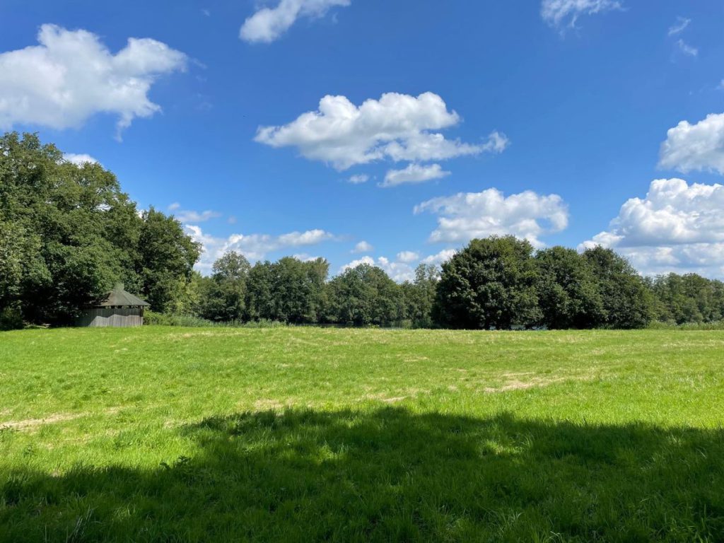 leemputten natuurgebied weiland