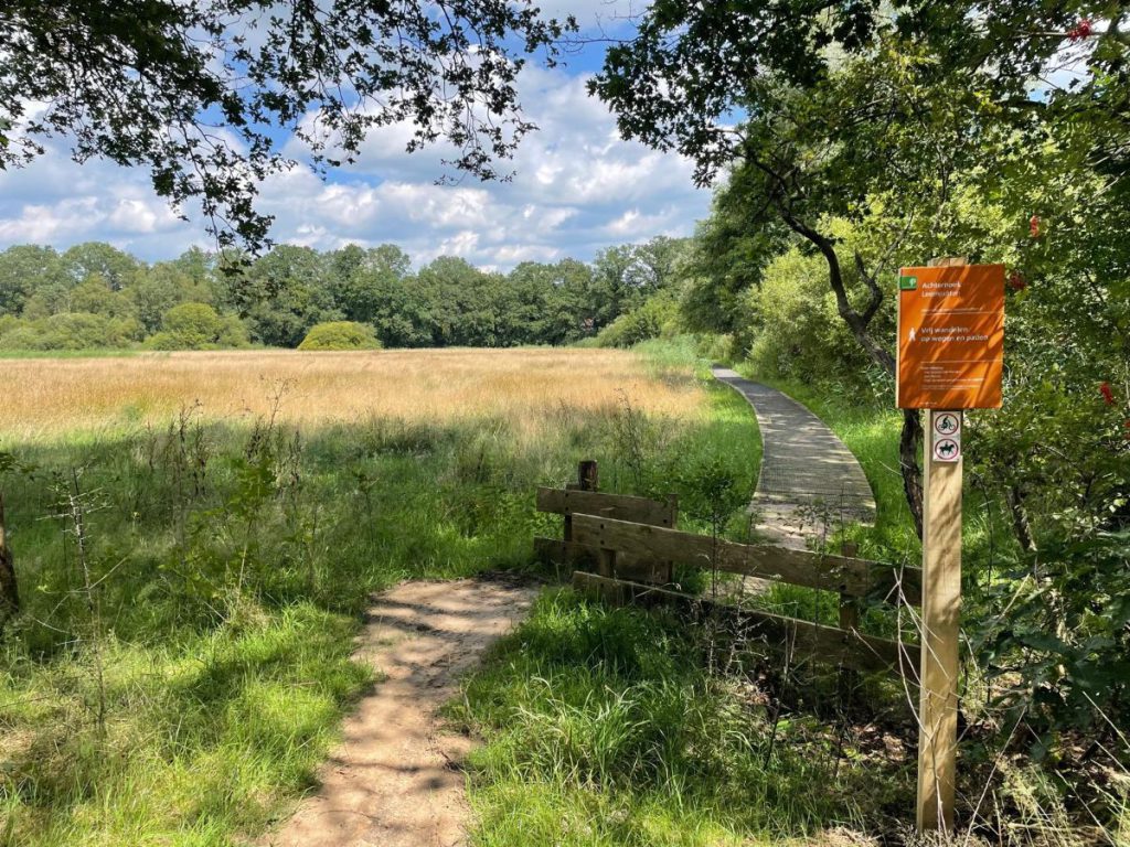 natuurgebied wandelen weiland