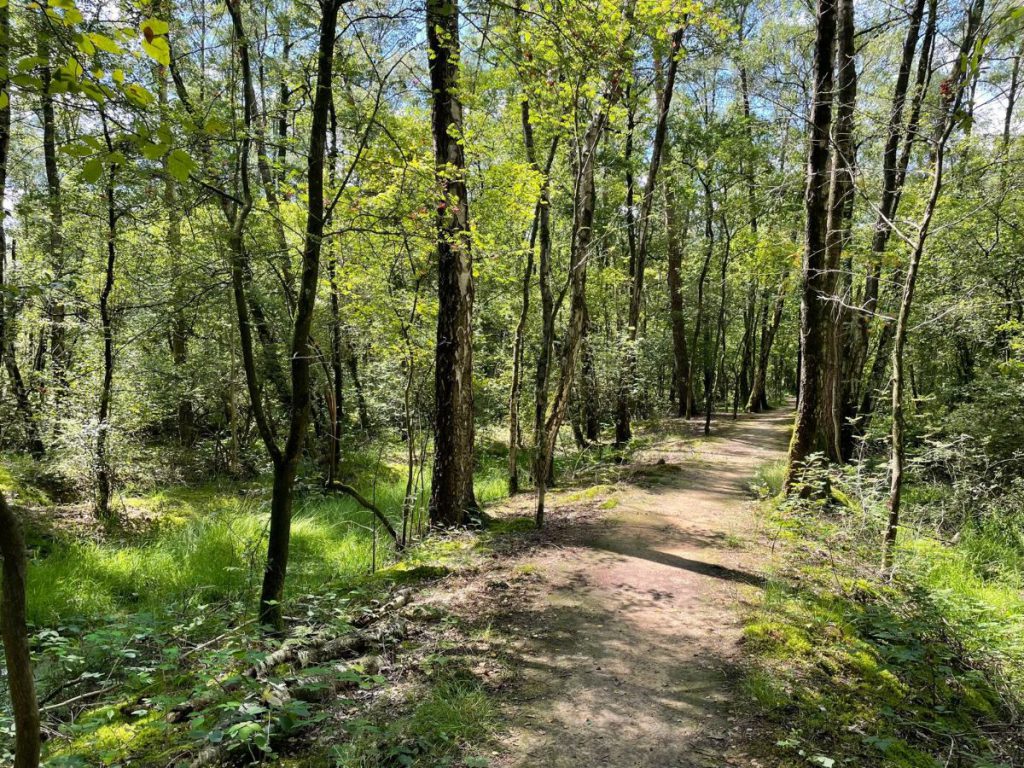 Natuurpark de Leemputten