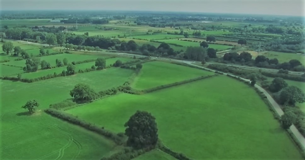 maasheggen weiland met heggen natuurgebied maas nederland