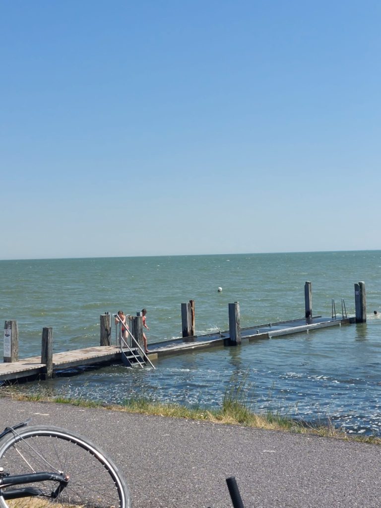 Zwemmen in de waddenzee Lies 