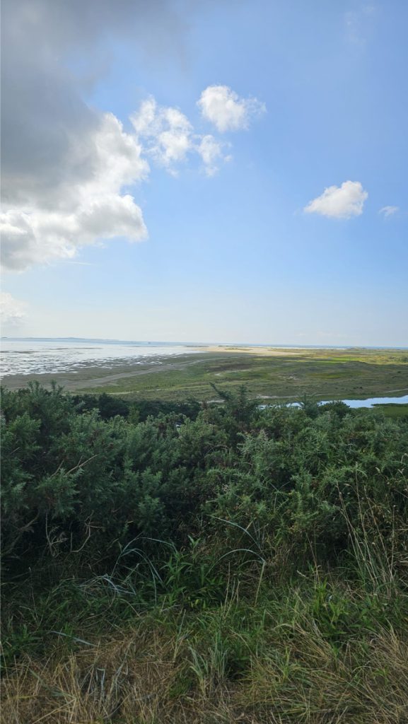 het groene strand