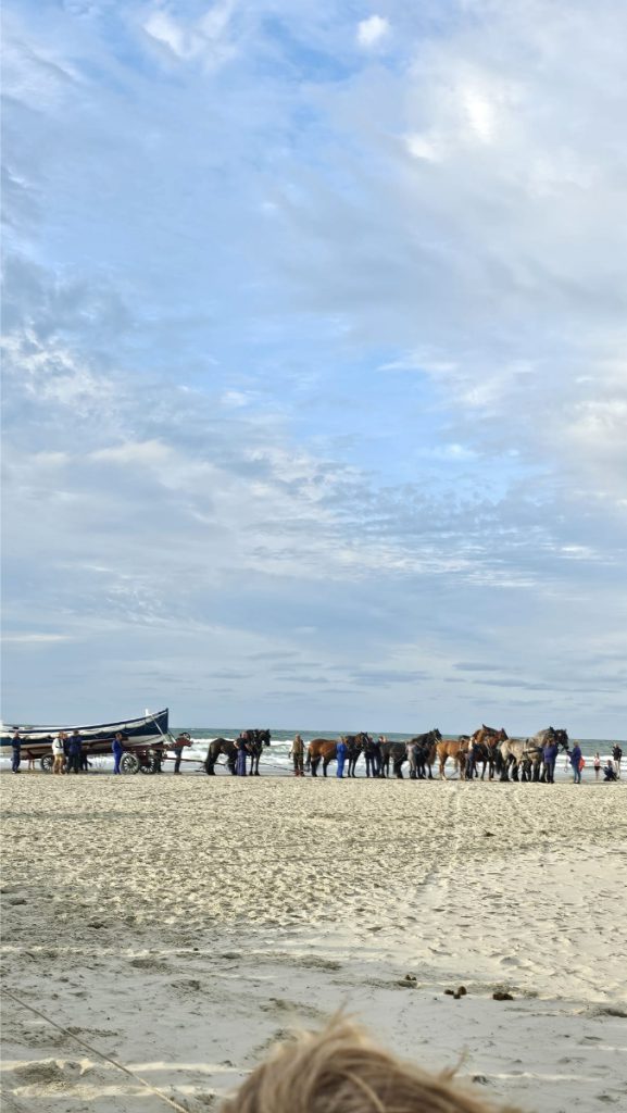 KNRM oefening met paarden gratis activiteiten met kinderen Terschelling 