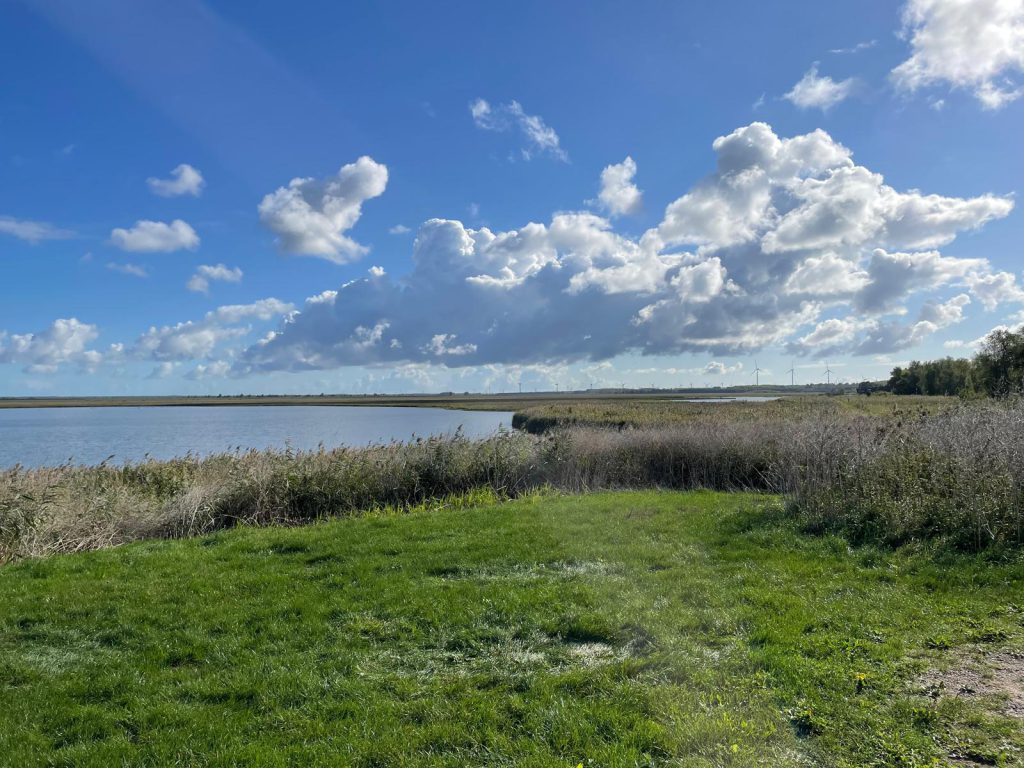 de oostvaardersplassen natuurgebied natuur