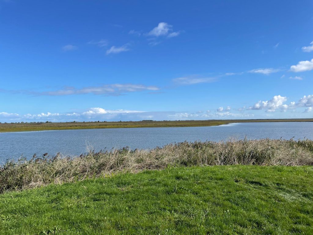 oostvaardersplassen